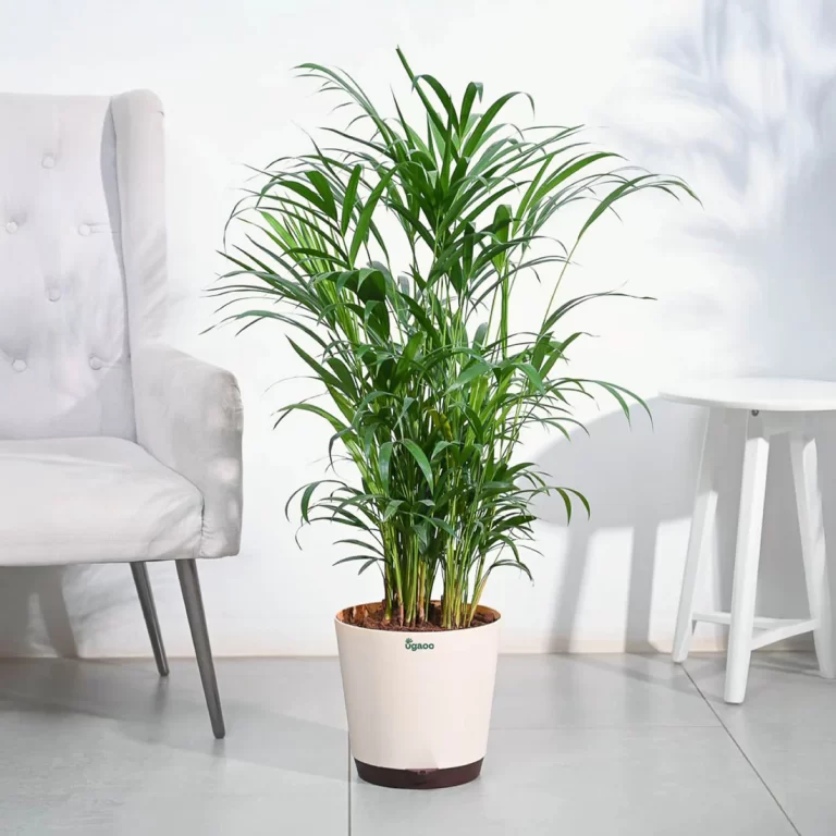artificial plants home decor